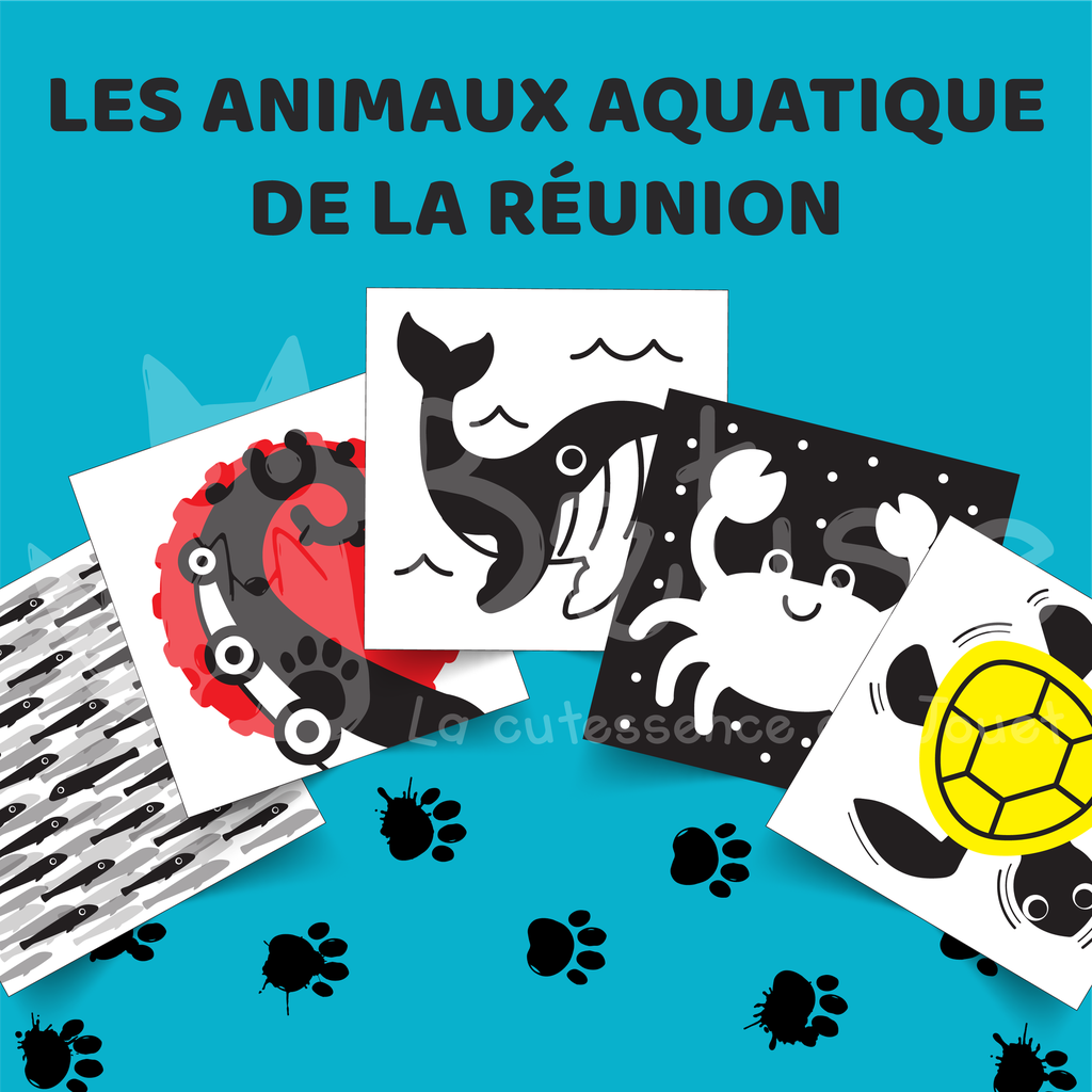 Animaux Aquatiques de la Réunion