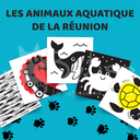 Animaux Aquatiques de la Réunion