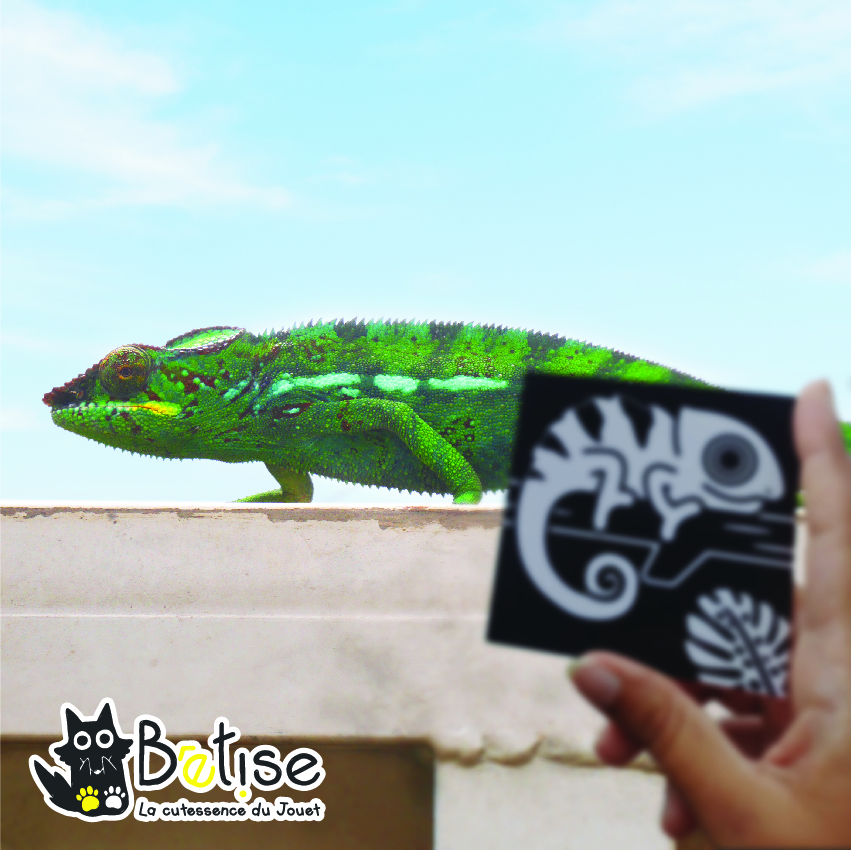 exemple cameleon
