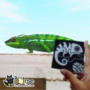 exemple cameleon